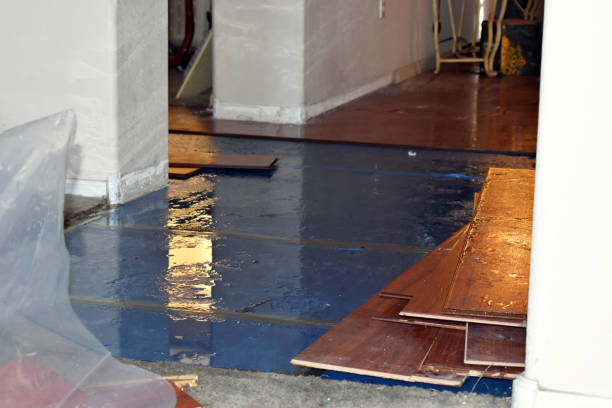 Professional Water Damage technician working in Milton, MA