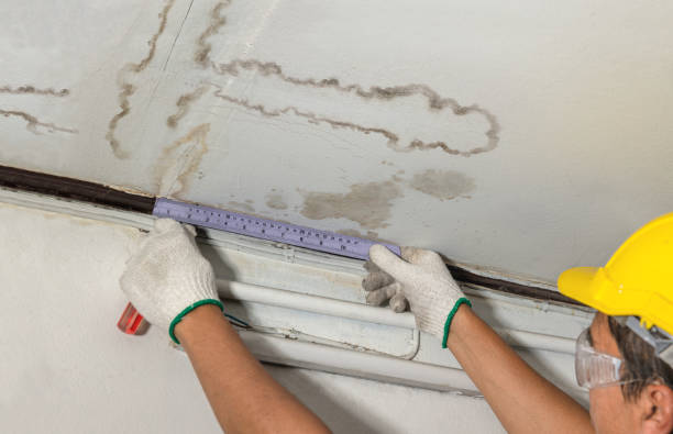 Reliable Water Damage contractor in Milton, MA by Water Damage Irwin